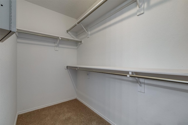 3804 Periwinkle Dr, Fort Worth, TX 76137 - walk in closet featuring carpet floors