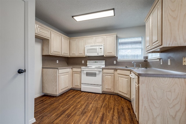 3804 Periwinkle Dr, Fort Worth, TX 76137 - kitchen with a sink, dark wood-style flooring, a textured ceiling, and white appliances