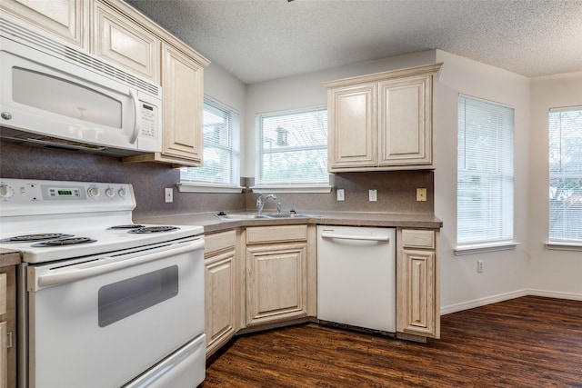 3804 Periwinkle Dr, Fort Worth, TX 76137 - kitchen with a sink, white appliances, tasteful backsplash, a textured ceiling, and dark wood-type flooring