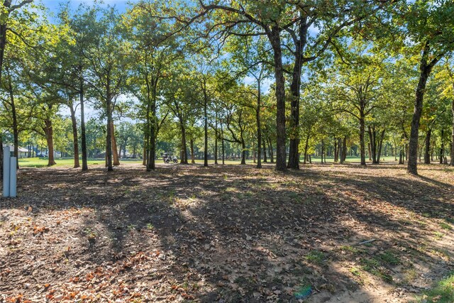 223 Colonial Dr, Mabank, TX 75156