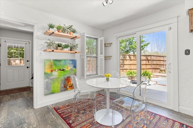 interior space featuring baseboards, hardwood / wood-style floors, and a wealth of natural light