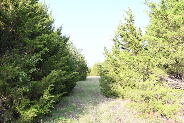 1148 Orion Way, Wilmer, TX 75172