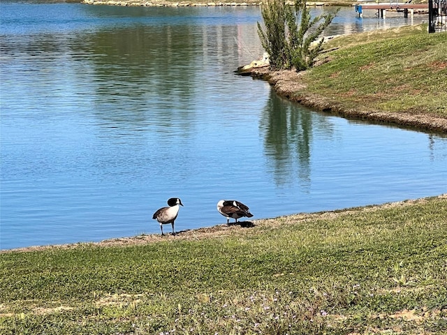 4012 Upper Lake Cir, Granbury, TX 76049