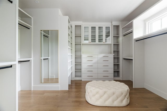 walk in closet featuring wood finished floors