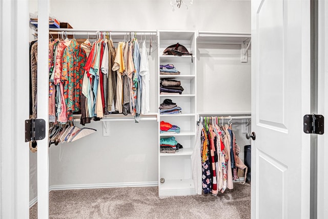 spacious closet featuring carpet floors