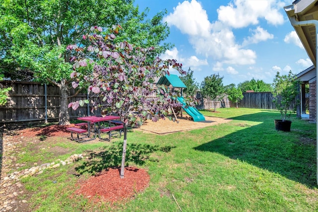 view of yard featuring a fenced backyard and a playground