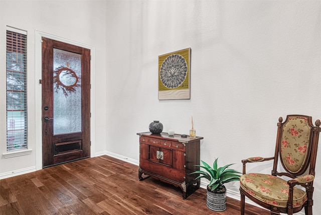 foyer entrance featuring baseboards and dark wood-style flooring