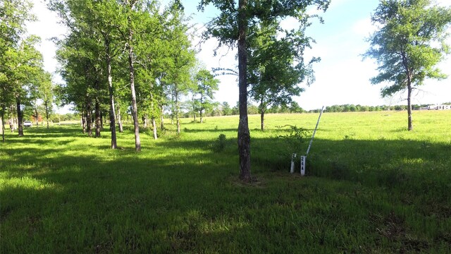TBD Lago Vista Dr, East Tawakoni, TX 75472