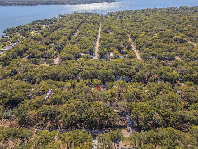 birds eye view of property with a water view and a forest view