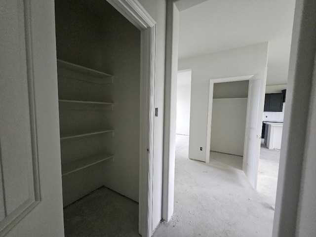view of closet