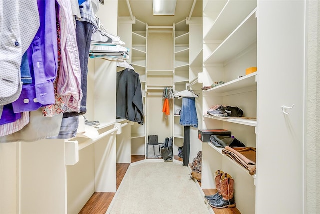walk in closet featuring wood finished floors