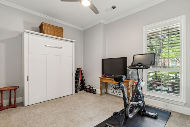 7913 Craftsbury Ln, Mckinney, TX 75071 - bedroom featuring a raised ceiling, carpet floors, a ceiling fan, crown molding, and connected bathroom