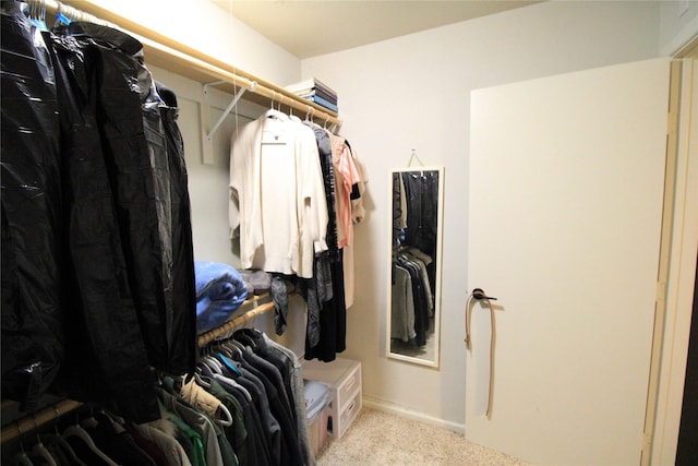 5520 Birchman Ave, Fort Worth, TX 76107 - walk in closet featuring carpet