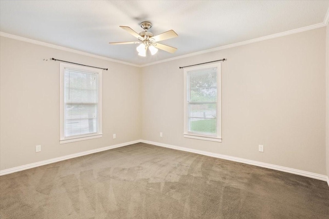 spare room featuring crown molding, ceiling fan, and carpet floors