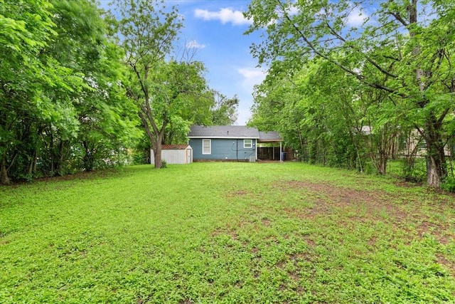 view of yard with an outbuilding and a storage unit