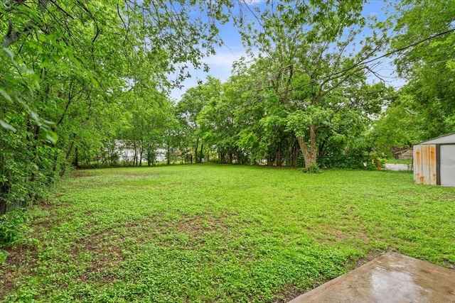 view of yard with an outdoor structure and a storage shed