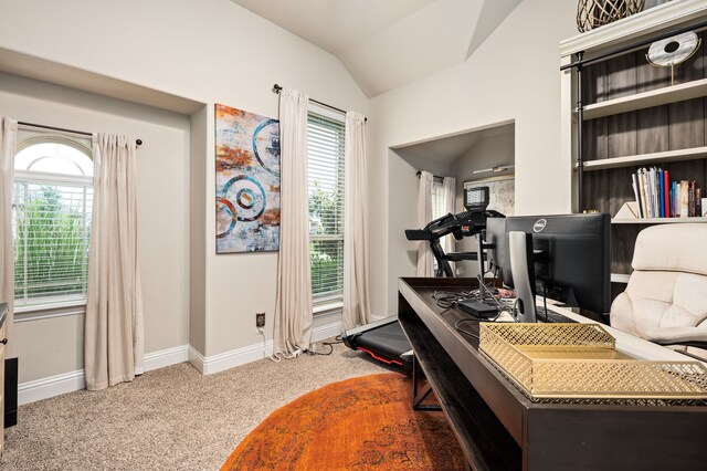 1617 Mack Ln, Little Elm, TX 75068 - office area featuring vaulted ceiling, plenty of natural light, carpet, and baseboards