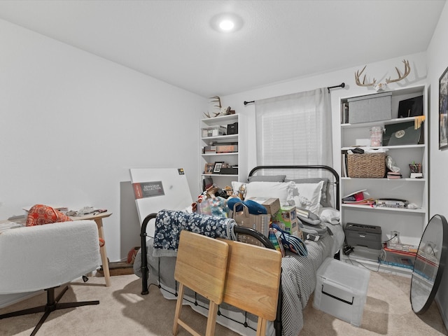 bedroom with carpet flooring