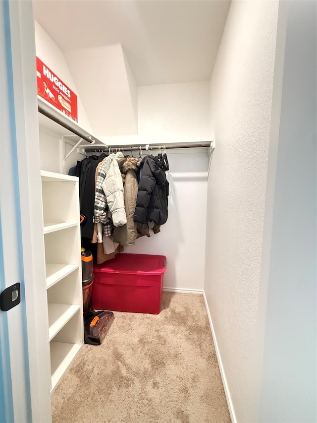 walk in closet with carpet