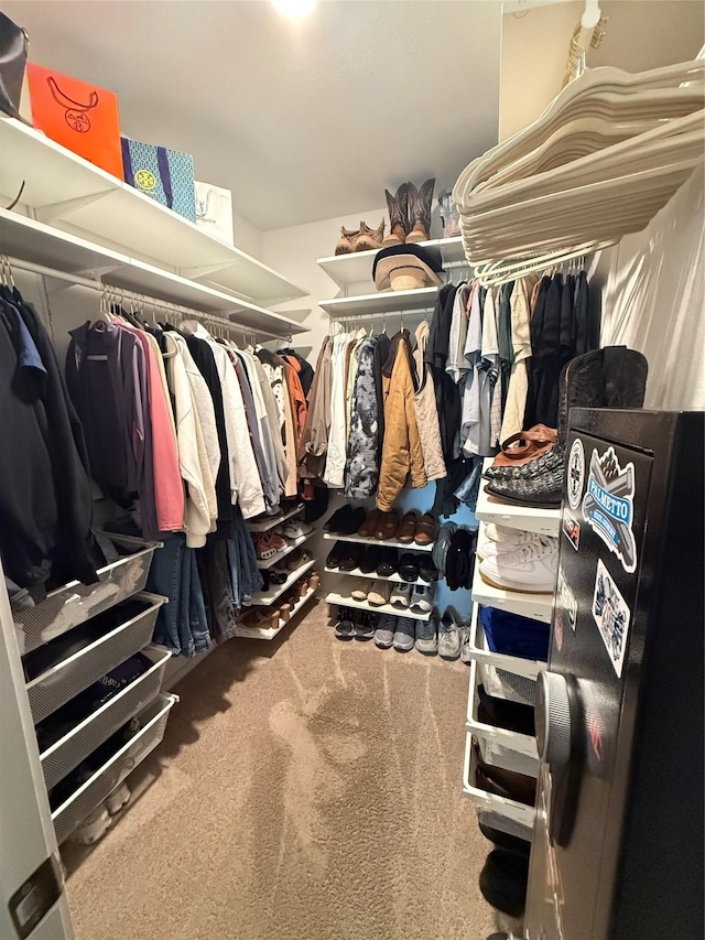 spacious closet with carpet floors