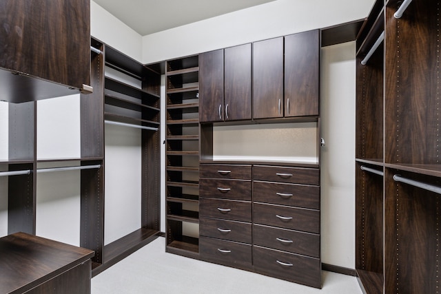 5924 Heron Bay Ln, Mckinney, TX 75070 - spacious closet featuring light carpet