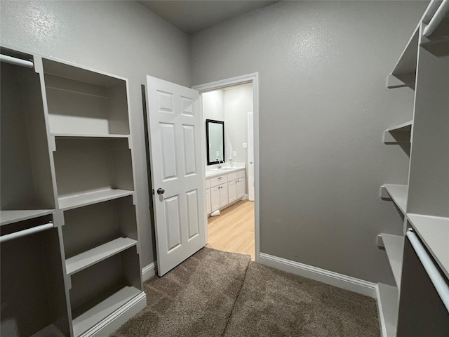 walk in closet with light carpet