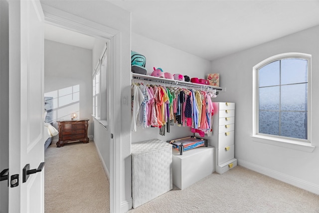 walk in closet with carpet flooring