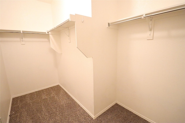 spacious closet with carpet floors