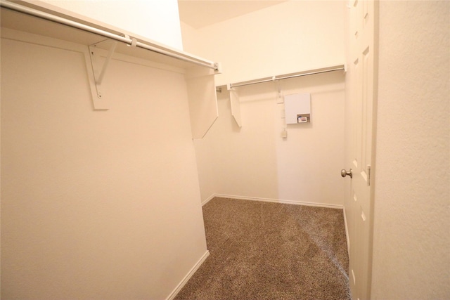 spacious closet featuring carpet floors