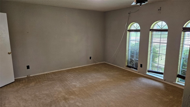carpeted empty room with a healthy amount of sunlight and baseboards