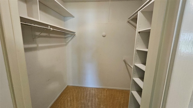 spacious closet with carpet flooring and attic access