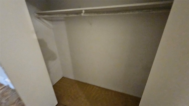 view of closet