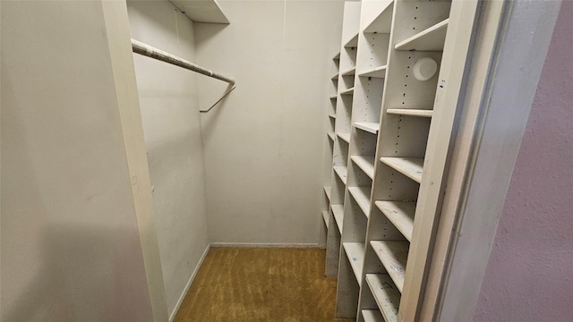 spacious closet with carpet