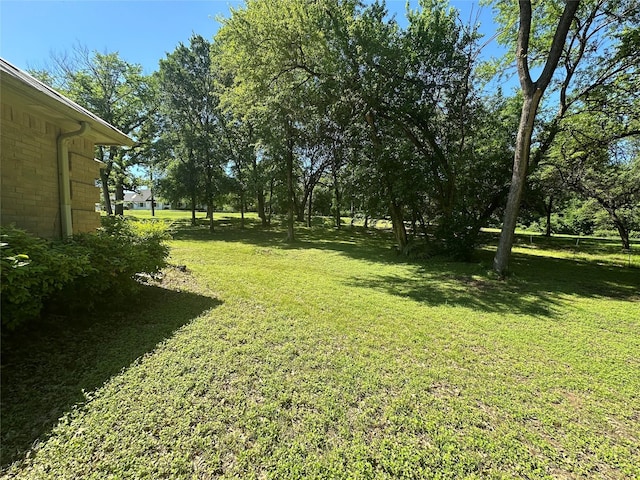 824 Imogene Ct, Azle, TX 76020 - view of yard