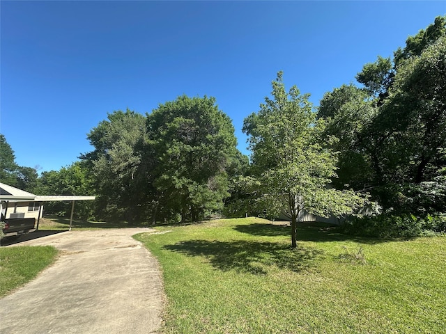 824 Imogene Ct, Azle, TX 76020 - view of yard with concrete driveway and a carport