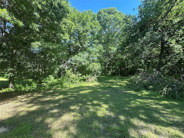 824 Imogene Ct, Azle, TX 76020 - view of yard featuring a forest view