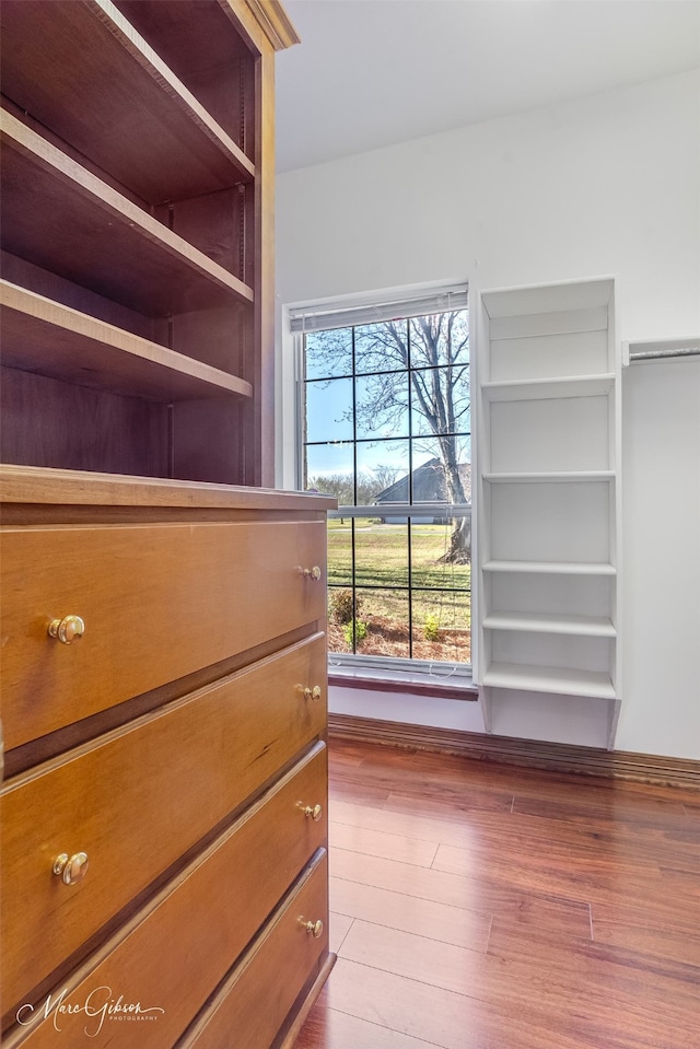 spacious closet with wood finished floors