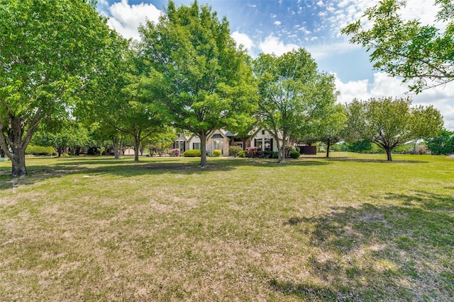 107 Harvest Ridge Cv, Mclendon Chisholm, TX 75032 - view of yard