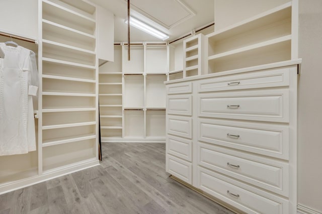 7101 Royal Birkdale Dr, Cleburne, TX 76033 - walk in closet with light wood-style floors