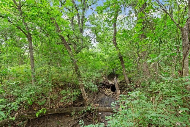 4999 Lake Felton Pkwy, Mart, TX 76664