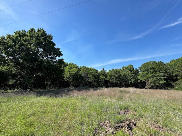 144 Cedar Oak Dr, Decatur, TX 76234