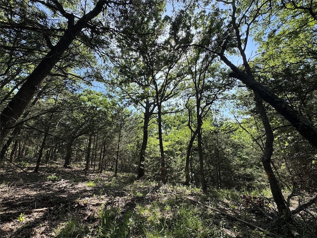 144 Cedar Oak Dr, Decatur, TX 76234
