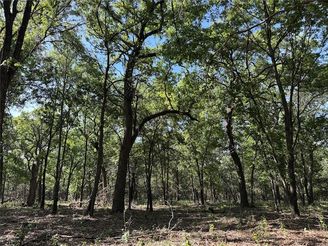 144 Cedar Oak Dr, Decatur, TX 76234