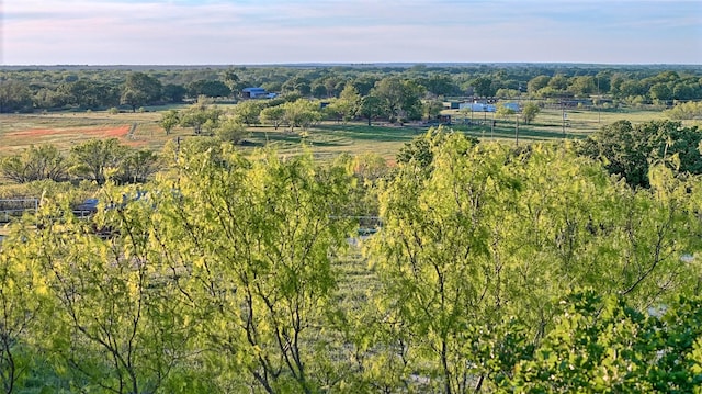 bird's eye view featuring a rural view