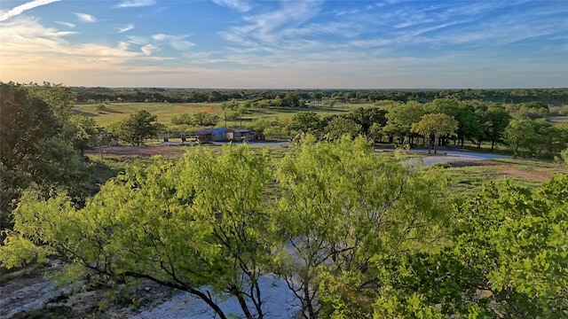 bird's eye view featuring a rural view