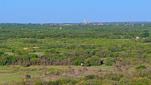view of landscape