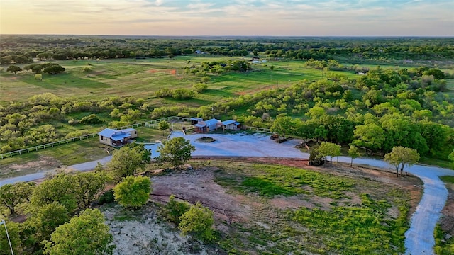 drone / aerial view featuring a rural view