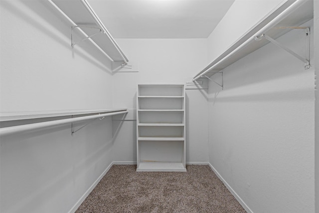 walk in closet with carpet flooring