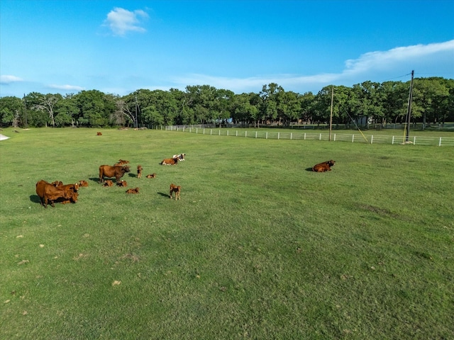 12580 Briar Rd, Azle, TX 76020 - view of yard featuring a view of rural / pastoral area