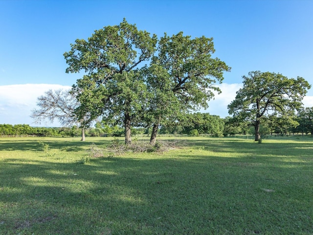 12580 Briar Rd, Azle, TX 76020 - view of grassy yard